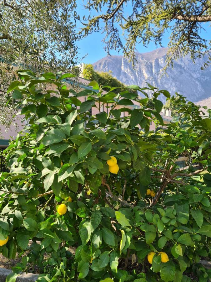דירות ריבה דל גארדה Le Peonie מראה חיצוני תמונה